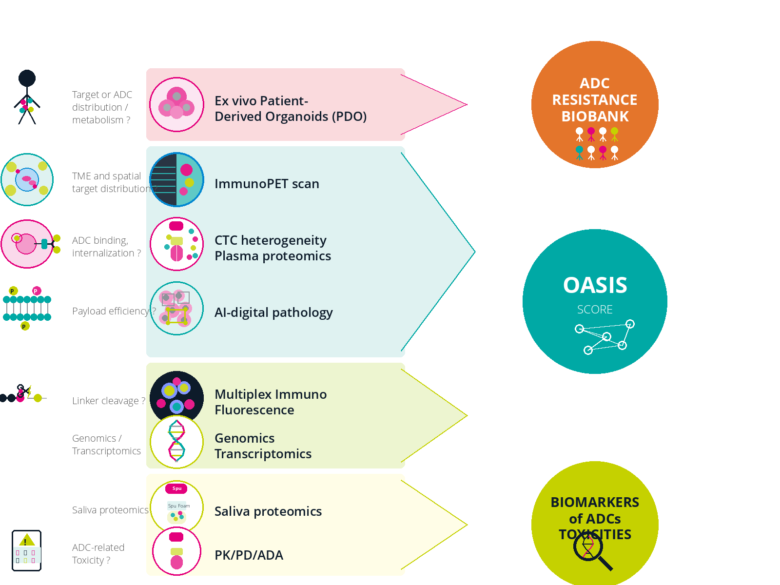 OASIS_Overview_Techno_final