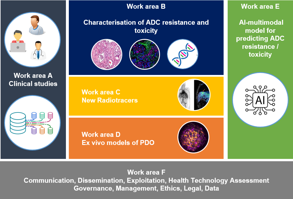 OASIS work packages overview